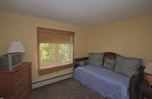 Brownsville Condo | Cozy Condo for Skiing, Hiking & Biking Lovers