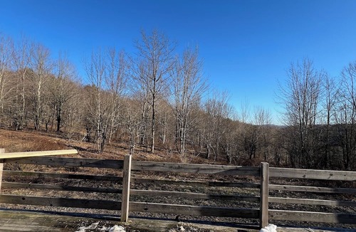 Worcester Cabin | Rustic 126-Acre Hunting Camp – Budget Stay Near Cooperstown